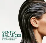 Biolage ScalpSync - Шампунь против перхоти, 400 мл — фото 3
