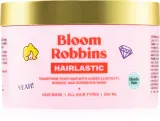 Bloom Robbins Hairlastic - Регенерирующая увлажняющая маска для волос, 250 мл — фото 1