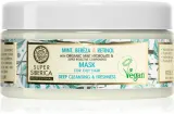 Natura Siberica Mint, Bereza & Retinol - Маска для очищения жирных волос, 300 мл — фото 1
