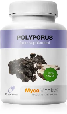 Биологически активная добавка MycoMedica Polyporus 30%, в капсулах, с бета-глюканами, 90 капсул