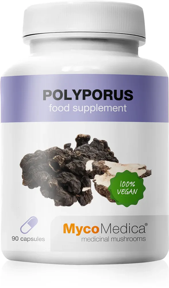 Биологически активная добавка MycoMedica Polyporus 30%, в капсулах, с бета-глюканами, 90 капсул