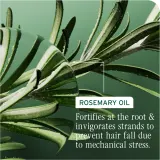 Biolage Full Rescue - Шампунь для плотных волос и защиты от ломкости, 400 мл — фото 4