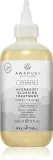 Бальзам для волос Paul Mitchell Awapuhi Wild Ginger HydraSoft Glossing Treatment с гиалуроновой кислотой, восстанавливающий, 236 мл — фото 1