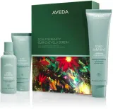 Aveda Holiday Scalp Serenity: Scalp Solutions Balancing Essentials - Праздничный набор для волос, 1 шт — фото 1