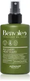 Alfaparf Milano Benvoleo Leave-in & Refresh - Термохронный спрей для использования с утюжкой и кудрявкой, 200 мл — фото 1