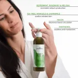 Soaphoria Hair Care Organic Shampoo - Органический жидкий шампунь для жирных волос, 250 мл — фото 4