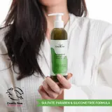 Soaphoria Hair Care Organic Shampoo - Органический жидкий шампунь для жирных волос, 250 мл — фото 5