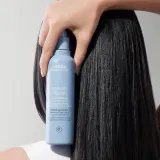 Aveda Smooth Infusion Perfect Blow Dry - Сглаживающий спрей для укладки волос против пушистости — фото 3