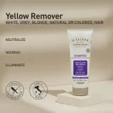 Alfaparf Milano Il Salone Milano Anti-yellow - Фиолетовый шампунь, нейтрализующий желтоватые оттенки, 250 мл — фото 2
