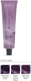 Стойкая краска для волос Revlon Professional Revlonissimo Colorsmetique Burgundy Shades профессиональная, 60 мл — фото 2