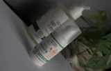 WoodenSpoon Organic - Уход за кожей головы для детей с рождения, 15 мл — фото 4