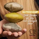 Soaphoria Hair Care Solid Shampoo - Органический шампунь в форме кубика для сухих и поврежденных волос, 60 г — фото 3