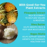 HEMPZ Sweet Pineapple Honey Melon - Увлажняющий кондиционер для волос, 500 мл — фото 2