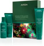 Aveda Holiday Bonds of Brilliance: Botanical Repair Strengthening Essentials - Праздничный набор подарочный для волос, 1 шт — фото 1