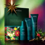 Aveda Holiday Bonds of Brilliance: Botanical Repair Strengthening Essentials - Праздничный набор подарочный для волос, 1 шт — фото 2