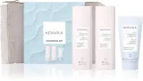 KERASILK Essentials Smoothing Set - Набор для укладки волос в путешествиях, 3 шт — фото 1