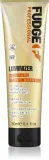 Fudge Luminizer Moisture Boost Shampoo - Увлажняющий шампунь для сохранения цвета волос, окрашенных и поврежденных, 250 мл — фото 1