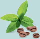 Londa Professional Vital Booster - Укрепляющая и регенерирующая сыворотка для волос для поврежденных волос, 6 мл — фото 5
