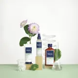 Phyto Volume Volumizing Shampoo - Шампунь для тонких волос, придающий объем от корней — фото 2