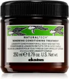 Davines Naturaltech Renewing Conditioning Treatment - Нежный кондиционер без сульфатов для восстановления кожи головы, 250 мл — фото 1