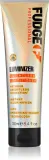 Fudge Care Luminizer - Кондиционер для тонких и слабых волос, 250 г — фото 1