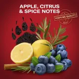 Old Spice Bearglove Anime - Подарочный набор для мужчин — фото 4