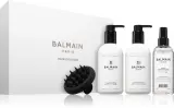 Balmain Hair Couture Volume Care Set - Подарочный набор для женщин — фото 1