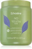 Echosline No Yellow Mask - Маска для волос, нейтрализующая желтоватые оттенки — фото 1