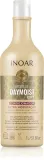 INOAR Absolut Daymoist CLR - Кондиционер для волос: Одживка глубоко увлажняющая для сухих и окрашенных волос, 1000 мл — фото 1