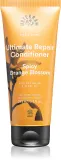 Urtekram Spicy Orange Blossom - в контексте того, что это кондиционер для волос: кондиционер для сухих и поврежденных волос, 180 мл — фото 1