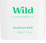 Wild Mint & Aloe Vera - Дезодорант в стике наполнение, 40 г — фото 1