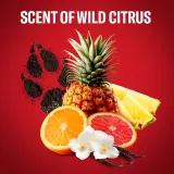 Old Spice Wolfthorn - Дезодорант в стике для мужчин — фото 3