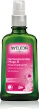 Weleda Rose - Масло для тела - олейка для ухода, 100 мл — фото 1