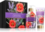 Rudy - Le Maioliche Lavender - Набор подарочный для женщин — фото 1