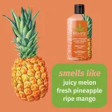 Гель для тела HEMPZ Sweet Pineapple Honey Melon очищающий, с алоэ, 500 мл — фото 3