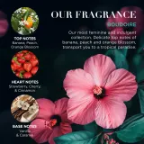 Baylis & Harding Boudoire Tropical Paradise - Подарочный набор для душа — фото 3