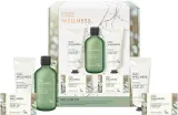 Baylis & Harding Wellness. Energise - Подарочный набор Имбирь, Лайм и Лист базилика Ginger, Lime & Basil Leaf — фото 1