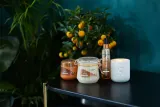 Sanctuary Spa Signature Natural Oils - Интенсивное увлажняющее масло для тела, 300 мл — фото 3
