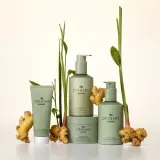 Origins Ginger Souffle Whipped Body Cream - Нежный крем для тела, 200 мл — фото 3