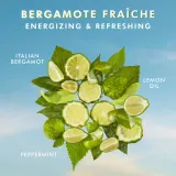 Moroccanoil Body Bergamote Fraiche - Питательный крем для тела, 360 мл — фото 3