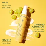 Caudalie Vinosun - невидимый спрей для загара SPF 30, 150 мл — фото 4