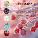 Baylis & Harding Festive Edition Luxury Bath Bomb - Набор косметики для лица в подарочной упаковке, 3 г — фото 3