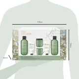 Baylis & Harding Wellness. Energise - Подарочный набор Имбирь, Лайм и Лист базилика Ginger, Lime & Basil Leaf — фото 4