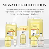 Baylis & Harding Sweet Mandarin & Grapefruit - Мыло жидкое Baylis Harding Sweet Mandarin Grapefruit для рук, сменный блок, 5000 мл — фото 4