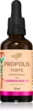 MyVita Propolis naturalny FORTE krople 10% bezalkoholowy z miodem manuka - Капли для поддержки иммунитета, 50 мл — фото 1