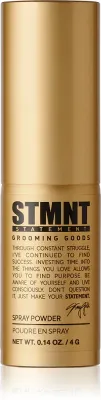 STMNT Staygold Spray Powder - Пудра в спрее для моделирования, 4 г