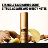 STMNT Staygold Spray Powder - Пудра в спрее для моделирования, 4 г — фото 4