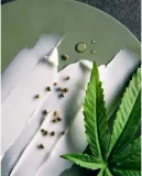 NIVEA MEN Sensitive Hemp - Бальзам после бритья с конопляным маслом, 100 мл — фото 3
