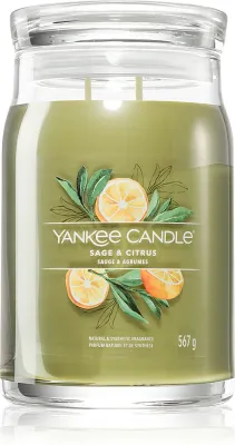 Yankee Candle Sage & Citrus - Ароматическая свеча Signature