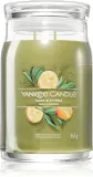 Yankee Candle Sage & Citrus - Ароматическая свеча Signature — фото 1